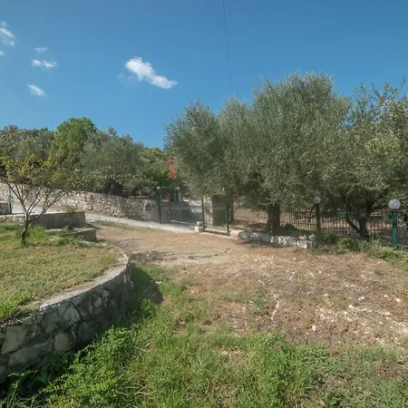 Nina's Olive House