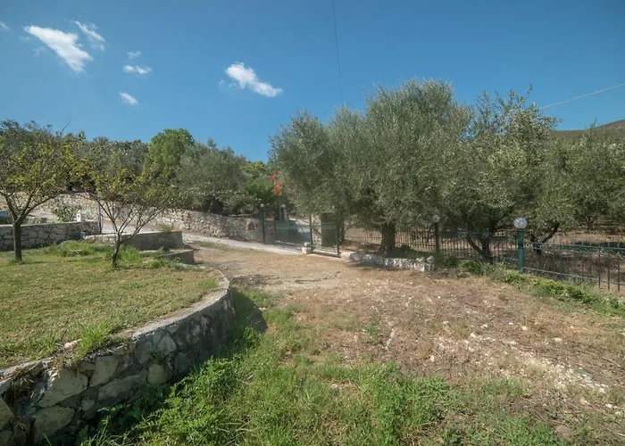 Nina's Olive House